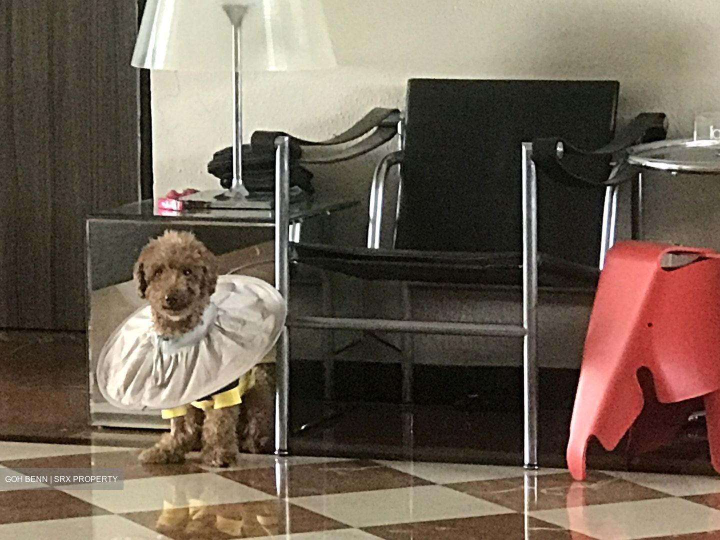 Dalvey Court (D10), Apartment #504318901